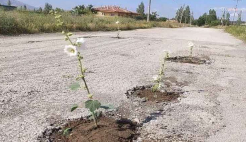 Niğdeli vatandaşlar bozuk yolları çiçek ekti, belediye de çukurları asfalt ile kapattı