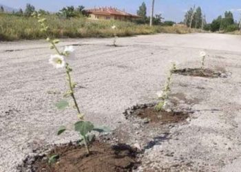 Niğdeli vatandaşlar bozuk yolları çiçek ekti, belediye de çukurları asfalt ile kapattı
