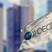 OECD Türkiye Masası Şefi Machlica: Politika faizi güven ortamı için artırılmalı