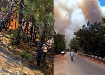 Önce Datça ardından da Çeşme'de orman yangını
