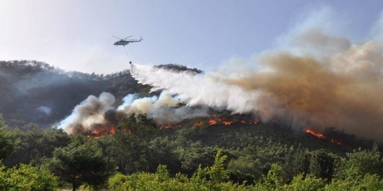 Orman yangınlarına karşı Diyanet'e görev: Yurttaşı bilinçlendirecek