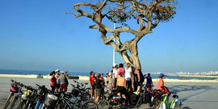 Özgecan Aslan Meydanı'ndaki ağacın kurutulmasıyla ilgili 2 belediye çalışanı ve bir CHP üyesine gözaltı