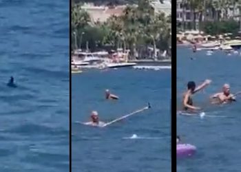 Paspasla köpekbalığı kovma görüntülerine ilişkin belediyeden açıklama: 'Denize girerken yanınıza paspas sopası almanıza gerek yoktur'