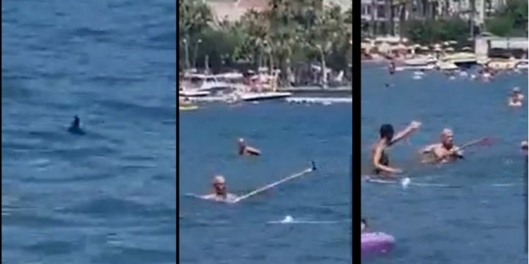 Paspasla köpekbalığı kovma görüntülerine ilişkin belediyeden açıklama: 'Denize girerken yanınıza paspas sopası almanıza gerek yoktur'