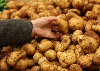 Patatese yeni zam yolda