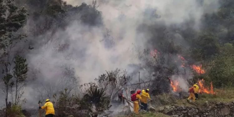 Peru'da Macchu Picchu'yu tehdit eden yangın, 3 günün sonunda kontrol altına alınabildi