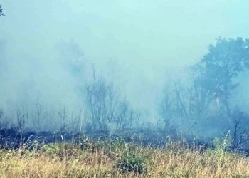 Piknik ateşiyle orman yangınına neden olan 3 kişi tutuklandı