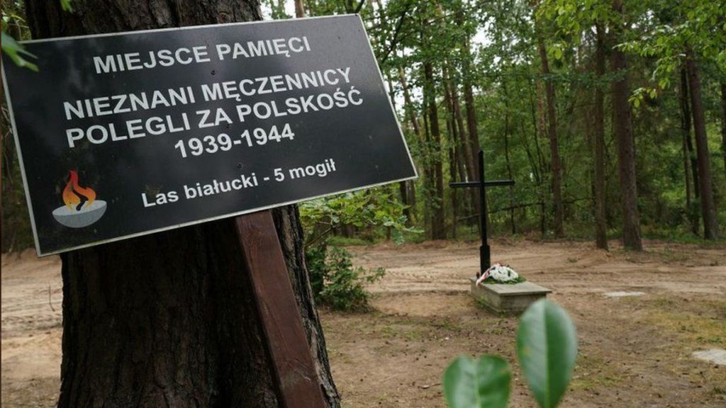 Polonya'da Nazi kampı yakınlarında en az 8 bin cesedin külünün olduğu toplu mezar bulundu