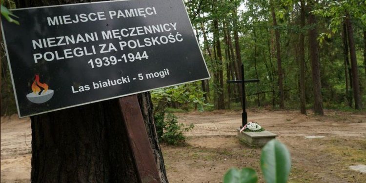 Polonya'da Nazi kampı yakınlarında en az 8 bin cesedin külünün olduğu toplu mezar bulundu