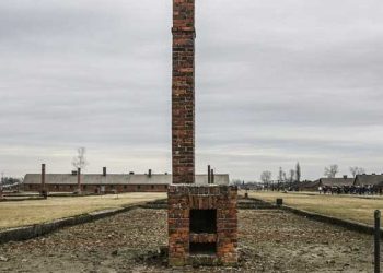 Polonya’da Nazilerin öldürdüğü 8 bin kişinin külleri bulundu