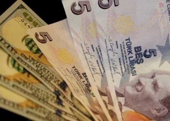 Prof. Dr. Babuşcu: 'Türkiye'ye döviz gelmez, enflasyona alışalım'