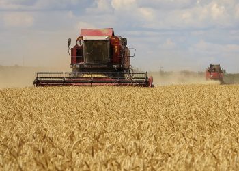 Rusya Odesa Limanı’nı bombaladı; buğday fiyatları yükseldi
