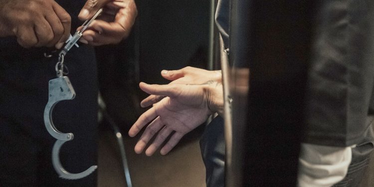 Rusya'da Navalni'ye yakın bir isim, Putin'in yardımcılarının infaz edildiği parodi videosunu paylaştığı için 6.5 yıl hapis cezasına çarptırıldı