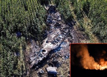 Sırbistan Savunma Bakanı: Yunanistan'da düşen uçak Bangladeş'e silah taşıyordu