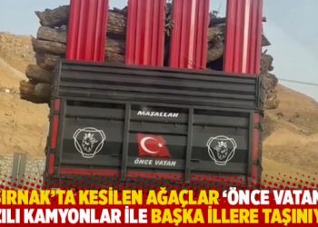 Şırnak'ta kesilen ağa&ccedil;lar '&ouml;nce vatan' yazılı kamyonlar ile başka illere taşınıyor