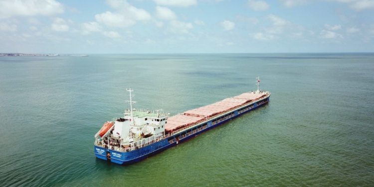 Tahıl yüklü gemi, Sakarya'dan ayrılıp Rusya'ya geri dönüyor