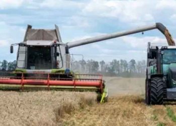 Tahılın Ukrayna’dan çıkarılması dünya için neden önemli?