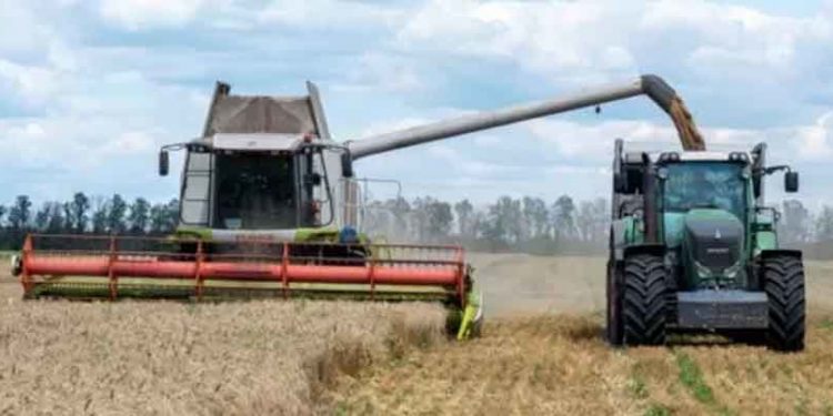 Tahılın Ukrayna’dan çıkarılması dünya için neden önemli?