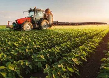 Tarımsal girdi fiyatlarındaki artış sürüyor