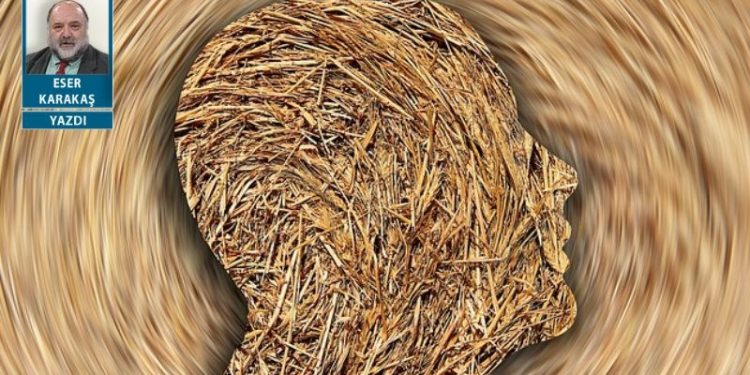 Toplumsal kafayı yeme durumu