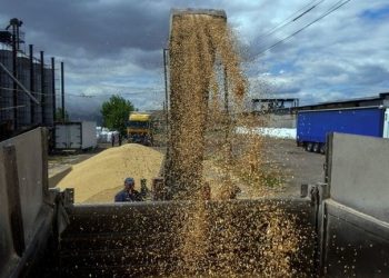 Türkiye, Ukrayna ve Rusya, tahıl sevkiyatı için bir araya geliyor