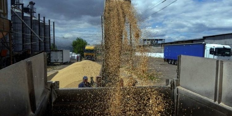 Türkiye, Ukrayna ve Rusya, tahıl sevkiyatı için bir araya geliyor