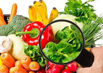 Türkiye gıda güvenliği endeksinde 48'inci sıraya düştü