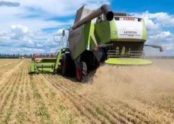 Ukrayna: Tahıl ihracatı birkaç gün içinde başlayabilir