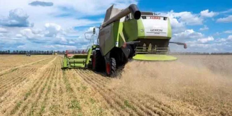 Ukrayna: Tahıl ihracatı birkaç gün içinde başlayabilir