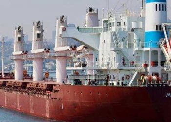 Ukrayna, Türkiye’den üç tahıl gemisini daha soruşturmasını istemiş