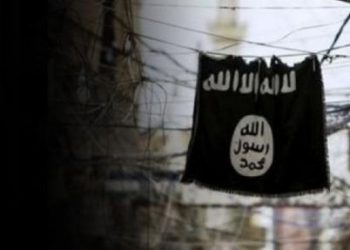 Videoyla deşifre oldu: Suriye’de barınamayan IŞİD Türkiye’de mi örgütleniyor?