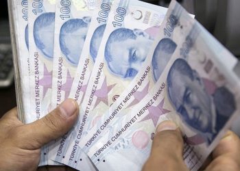 Wells Fargo: Türk Lirası yüzde 4 daha değer kaybedebilir