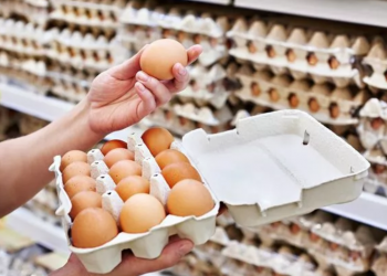 Yumurta üreticileri zorda; 'yüzde 100'ün üzerinde zarar ediyoruz'