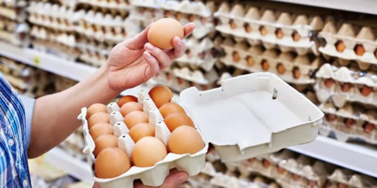 Yumurta üreticileri zorda; 'yüzde 100'ün üzerinde zarar ediyoruz'