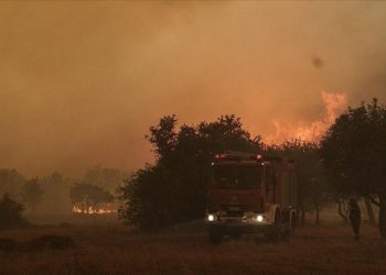 Yunanistan'da 100'ü aşkın orman yangını