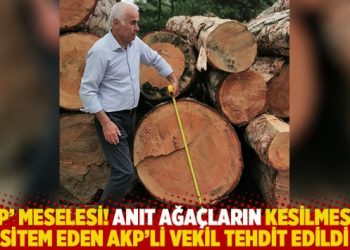'&Ccedil;ap' meselesi! Anıt ağa&ccedil;ların kesilmesine sitem eden AKP&rsquo;li vekil tehdit edildi