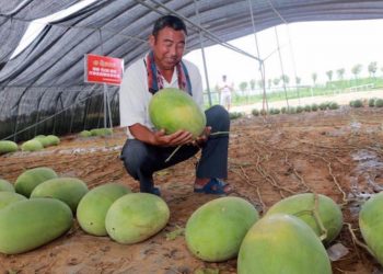 Çinli emlak şirketinden karpuz karşılığında ev kampanyası