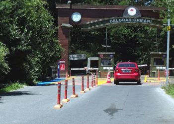 İstanbul ormanlarında mangal yasağı: 'Bir kişi yüzünden koca Türkiye cezalandırıldı'