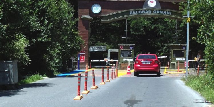 İstanbul ormanlarında mangal yasağı: 'Bir kişi yüzünden koca Türkiye cezalandırıldı'