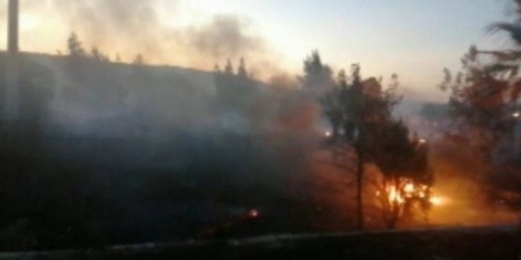 İzmir'de 'ormanı keyfimden yaktım' diyen şüpheli tutuklandı