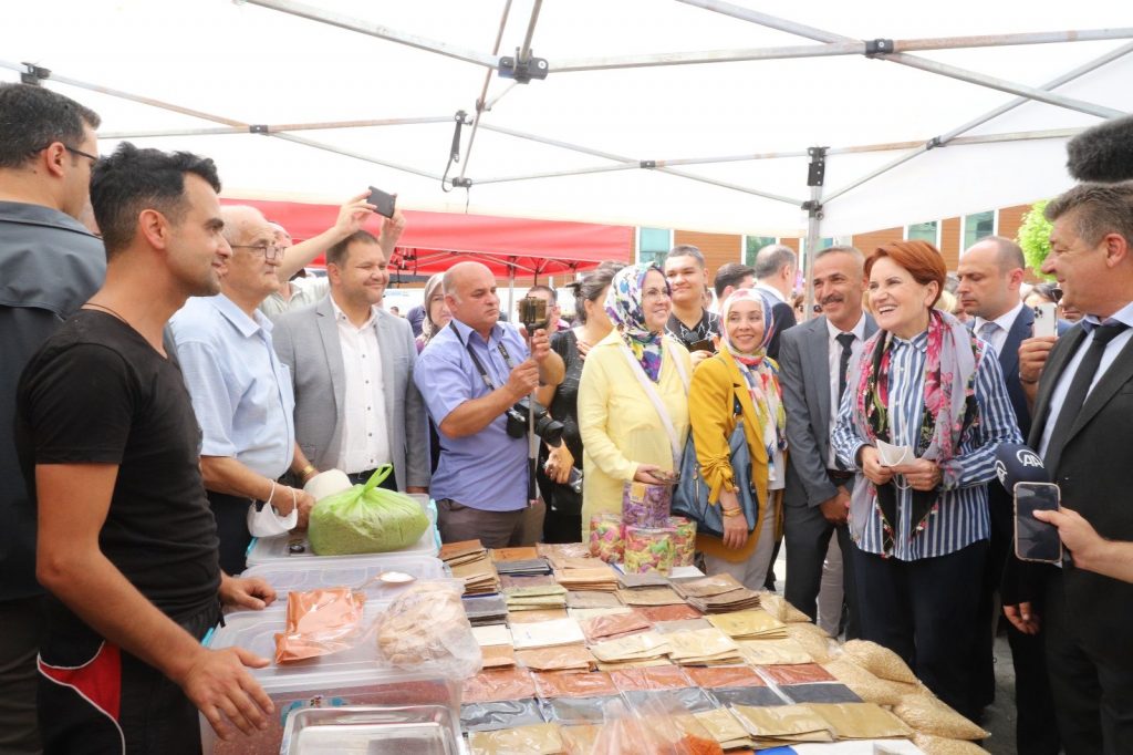 ‘Sokak köpeği Meral Akşener’i ısırdı’ iddiası