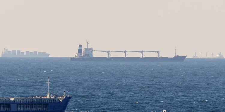 Ukrayna Tahılı Yüklü İlk Gemi İstanbul’a Vardı