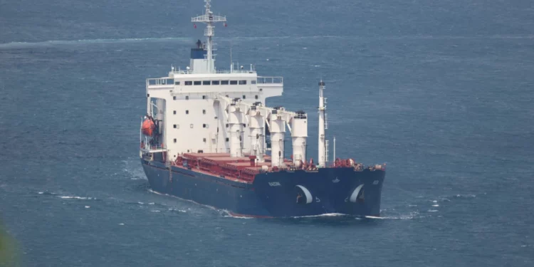 İlk Tahıl Gemisi Lübnan’a Henüz Ulaşmadı