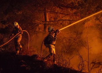 220 bin hektardan fazla alan yandı: İspanya, bu yüzyılın en büyük orman yangınlarıyla mücadele ediyor