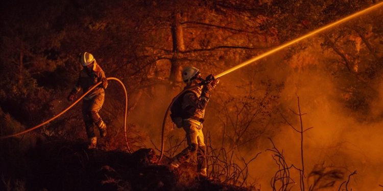 220 bin hektardan fazla alan yandı: İspanya, bu yüzyılın en büyük orman yangınlarıyla mücadele ediyor