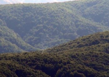 Şenyayla kırsalında çatışma: Çok sayıda ambulans gönderildi