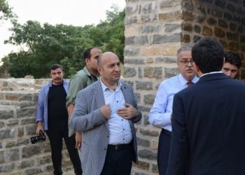 Diyarbakır’da çok maaşlı ‘gölge kayyım’