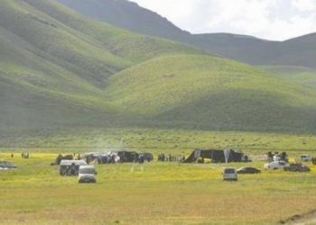 Yüksekova’da yayla yasağı: Koyunlar bölgeden çıkarıldı