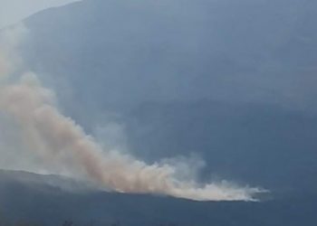 Hakkari’de orman yangını 6 gündür sürüyor