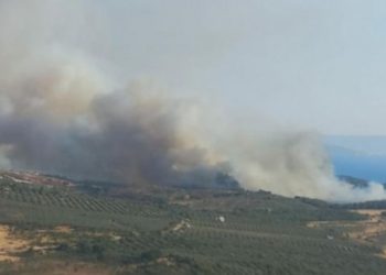 İzmir’de tarım arazisinde yangın